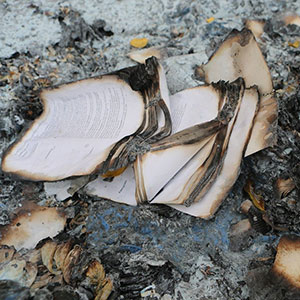 fireproof bags protect your documents