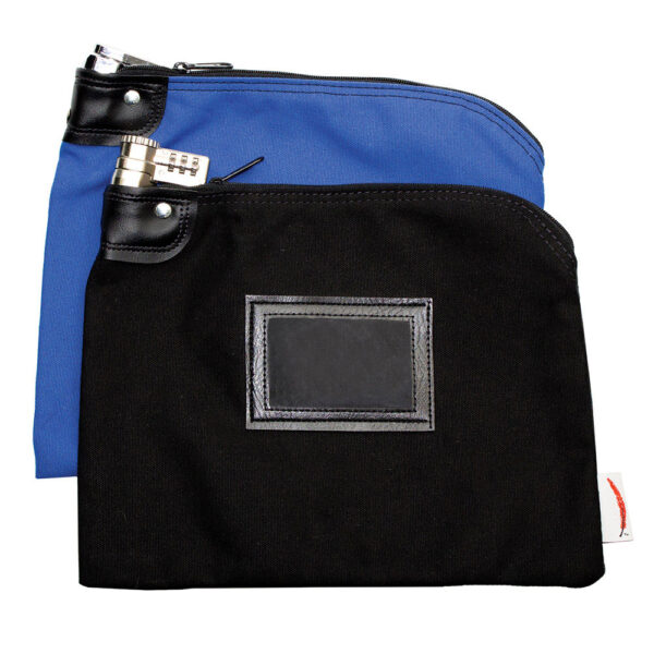 Locking Security Bag